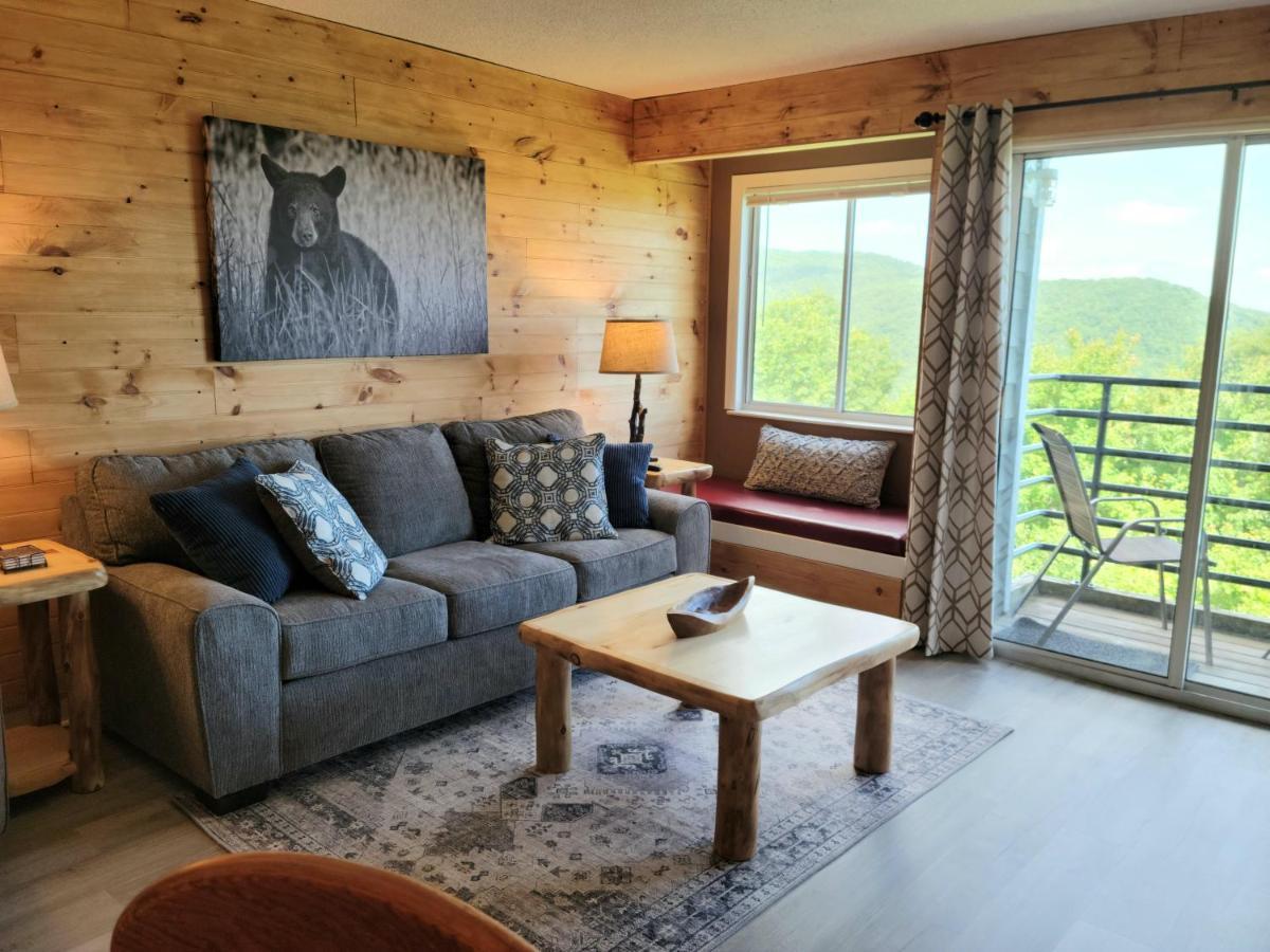 Mountain Villa Magnificent Views - 2 Pools, Fireplace & Hot Tub 蓋特林堡 外观 照片