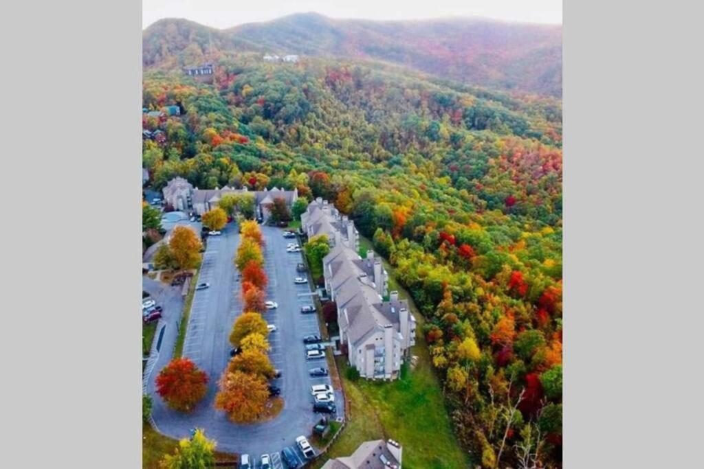Mountain Villa Magnificent Views - 2 Pools, Fireplace & Hot Tub 蓋特林堡 外观 照片