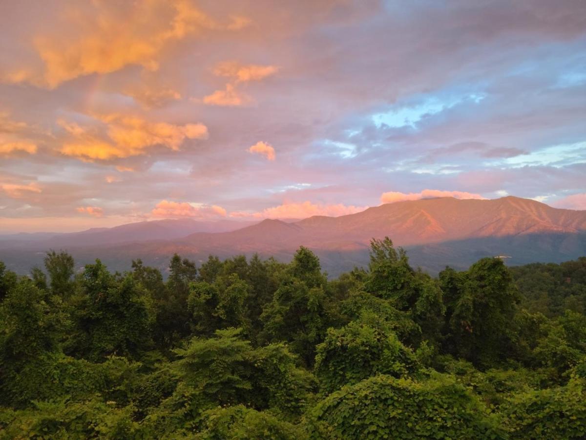Mountain Villa Magnificent Views - 2 Pools, Fireplace & Hot Tub 蓋特林堡 外观 照片